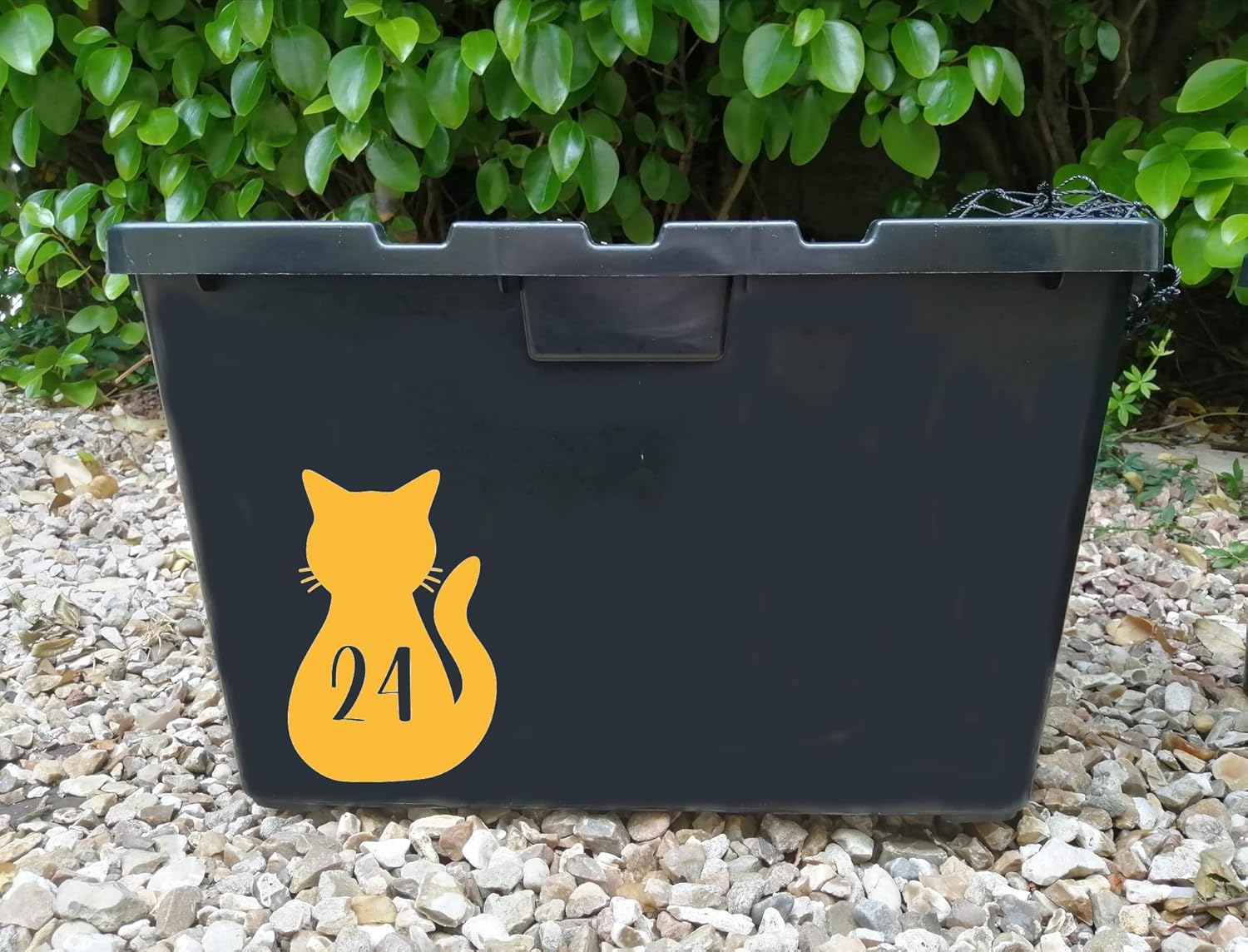 3 Pack Cat Rear Number Sticker