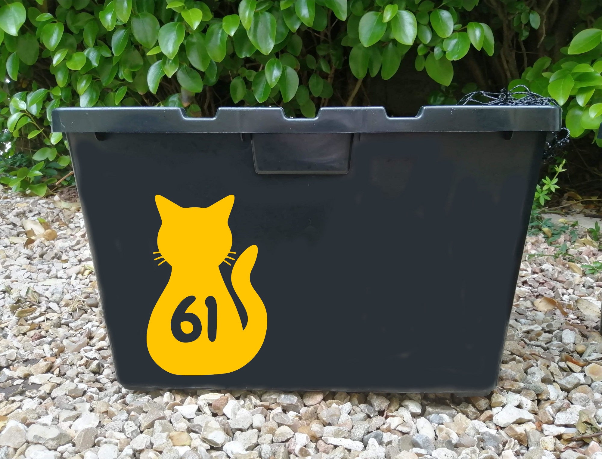 3 Pack Cat Rear Number Sticker