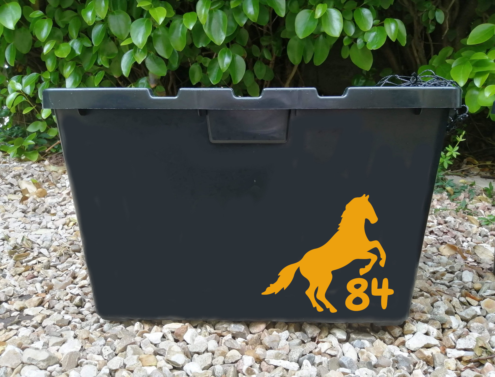 3 Pack Cute Horse Jumping Number Sticker