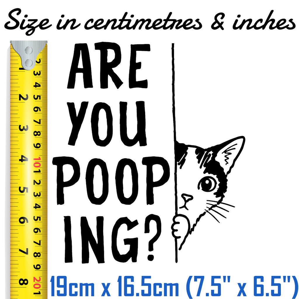 Are You Pooping Cat Bathroom Decal