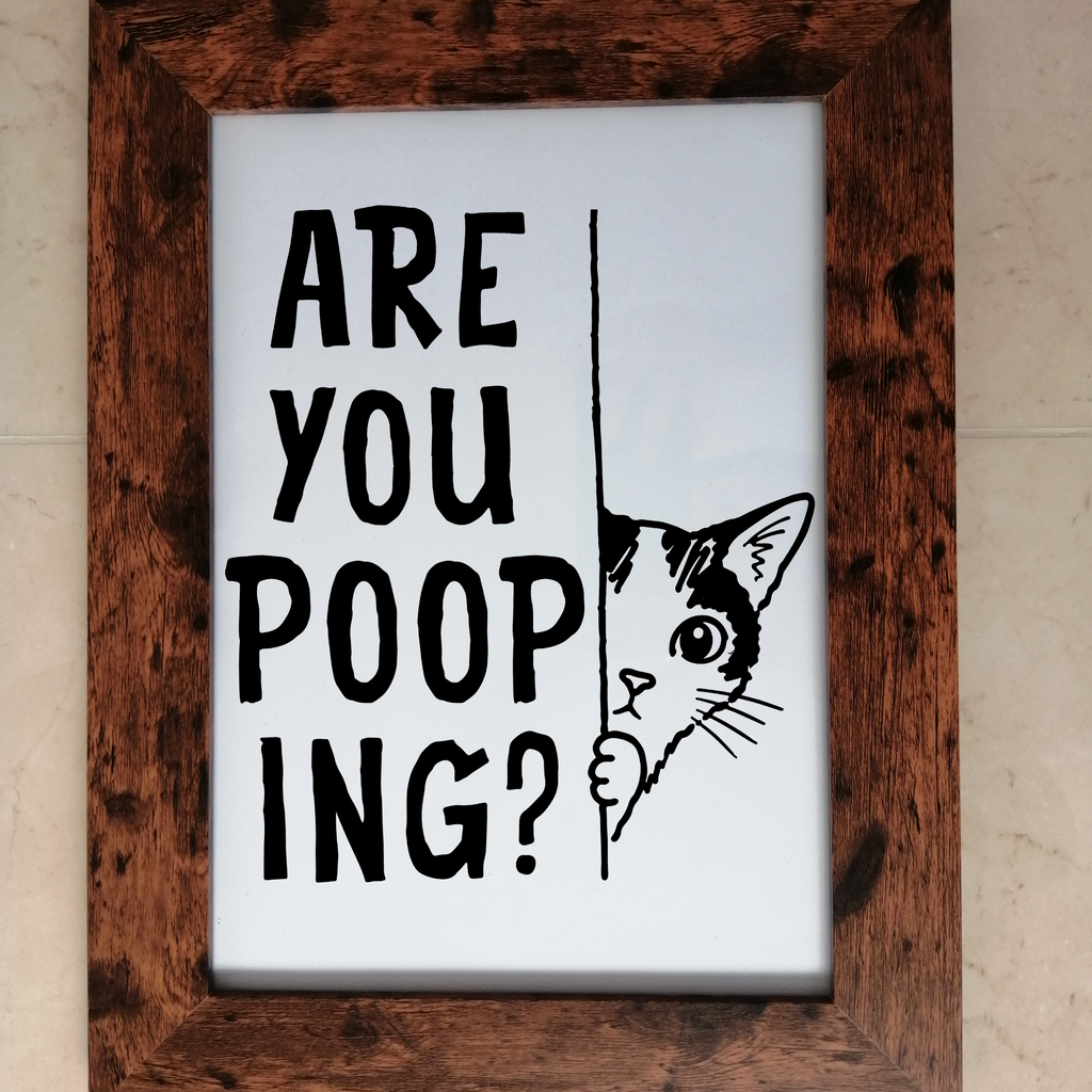 Are You Pooping Cat Bathroom Decal