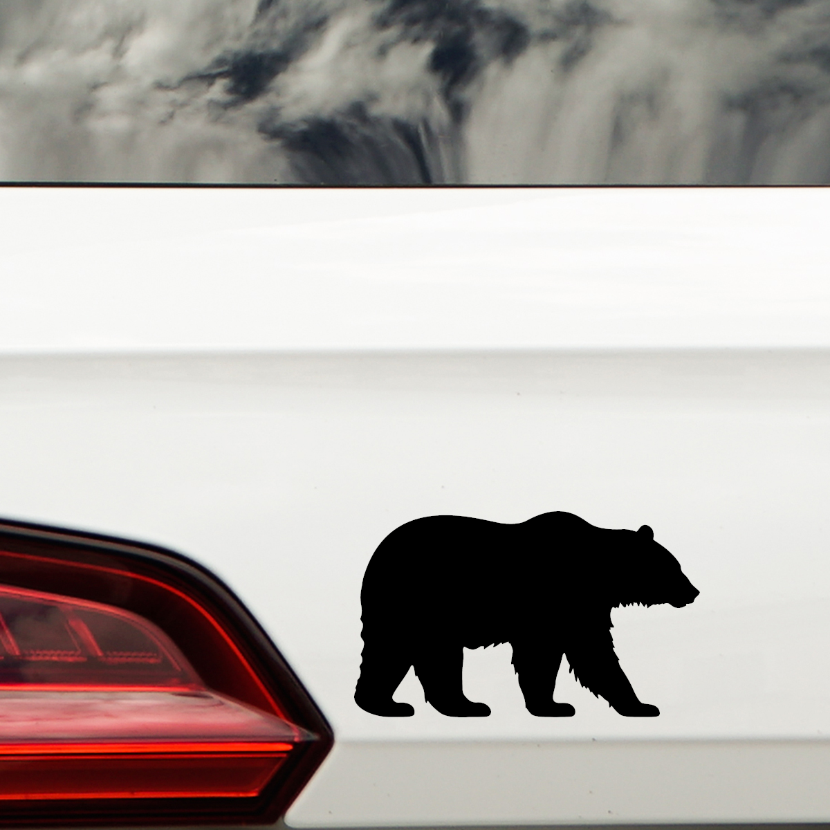 Wild Bear Silhouette Decal