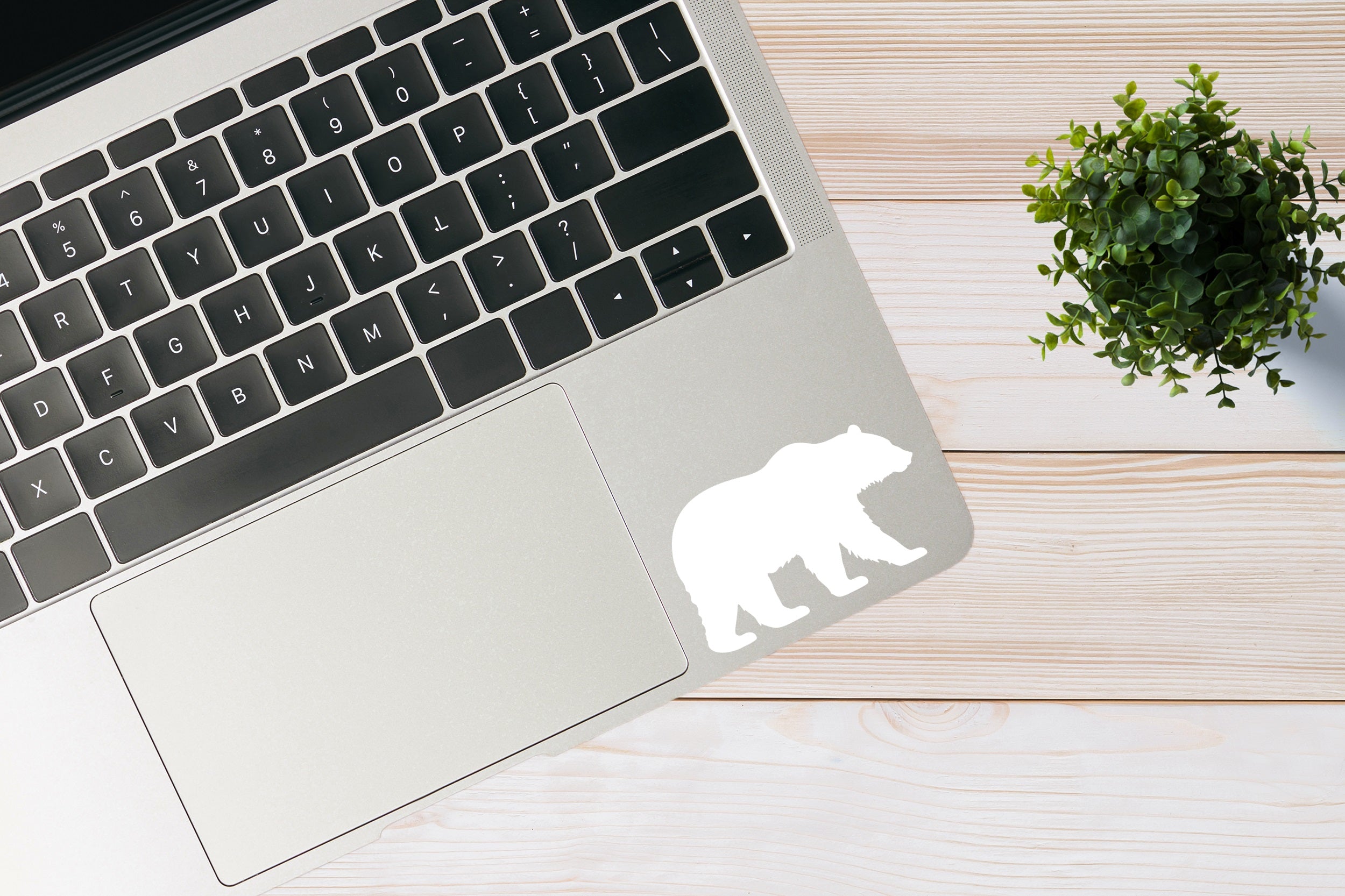 Wild Bear Silhouette Decal