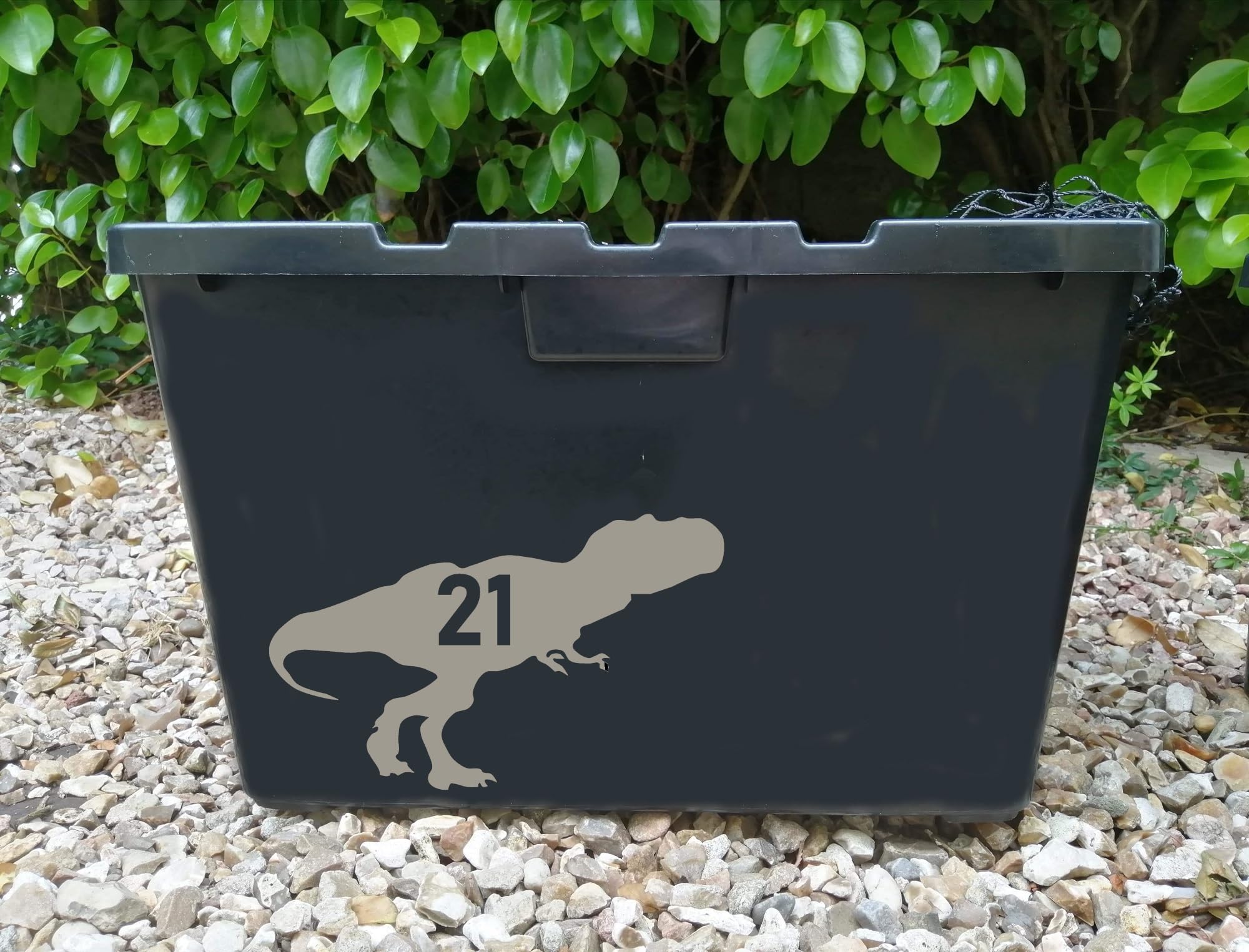 Multi Pack T-Rex Dinosaur Wheelie Bin Stickers