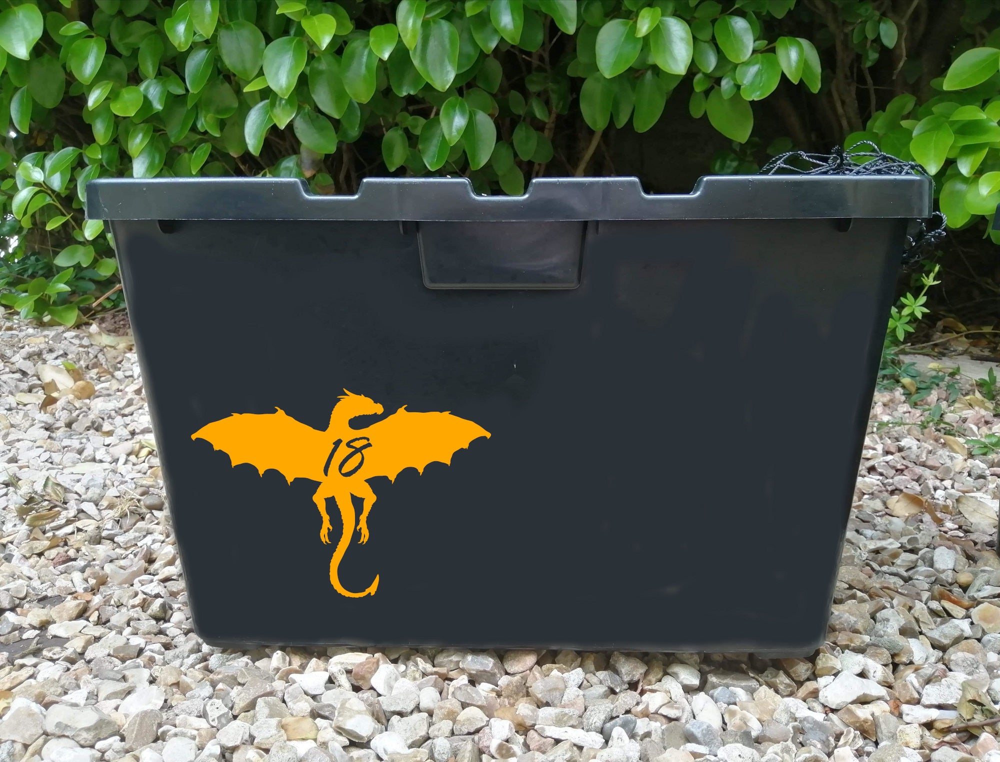 3 Pack Dragon Wings Number Sticker