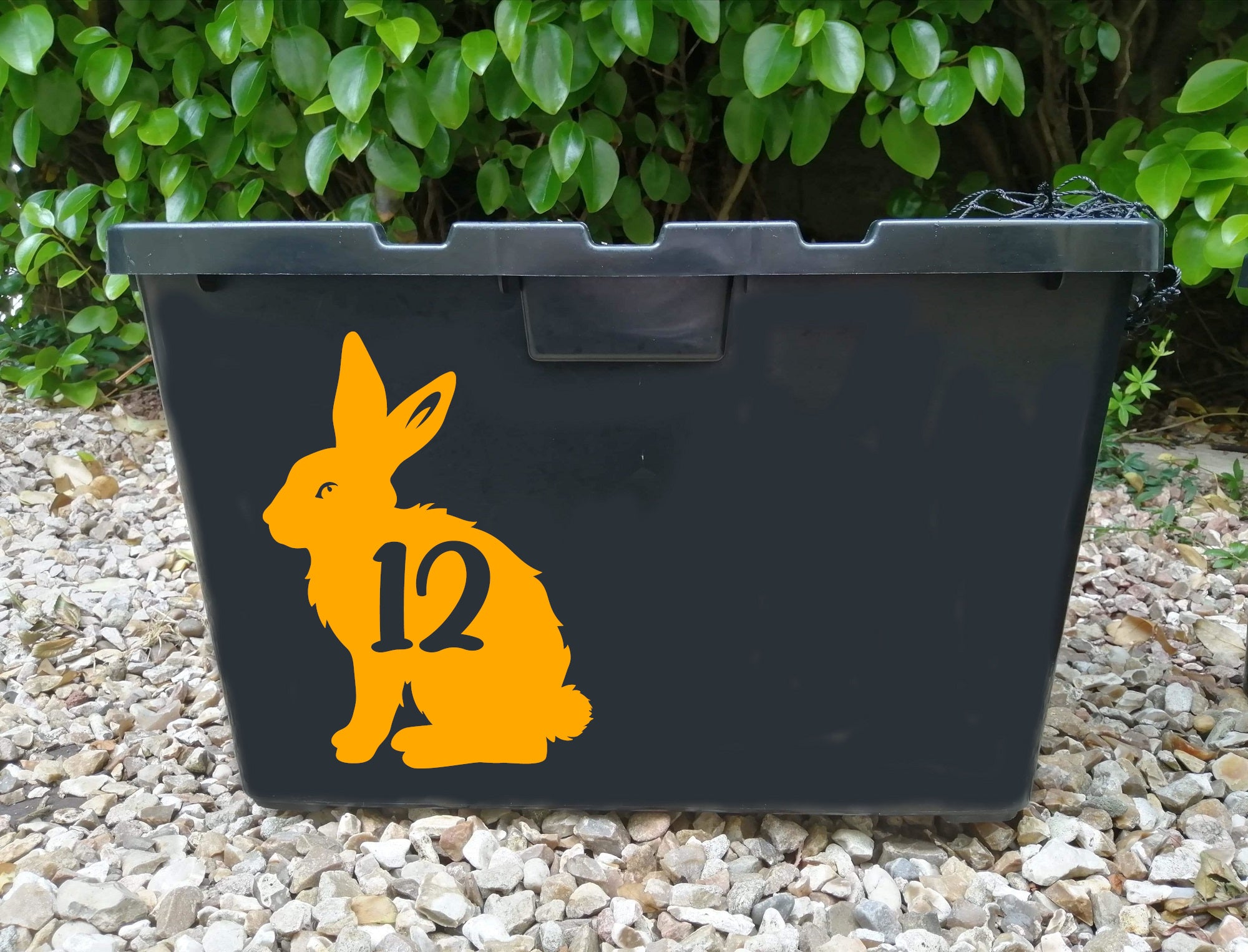 3 Pack Bunny Rabbit Number Sticker